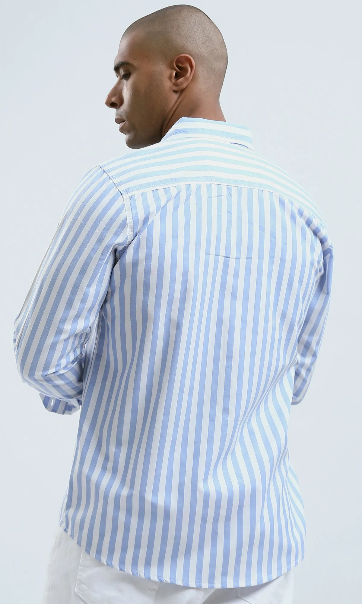 O179975 - Blue & White Long Sleeves Elegant Striped Shirt